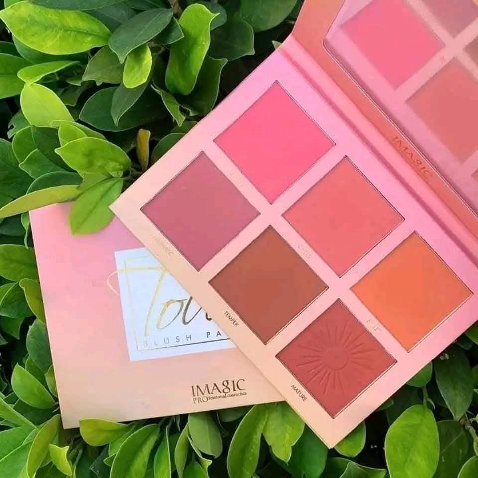imagic blush pallet ( china ) - Image 1